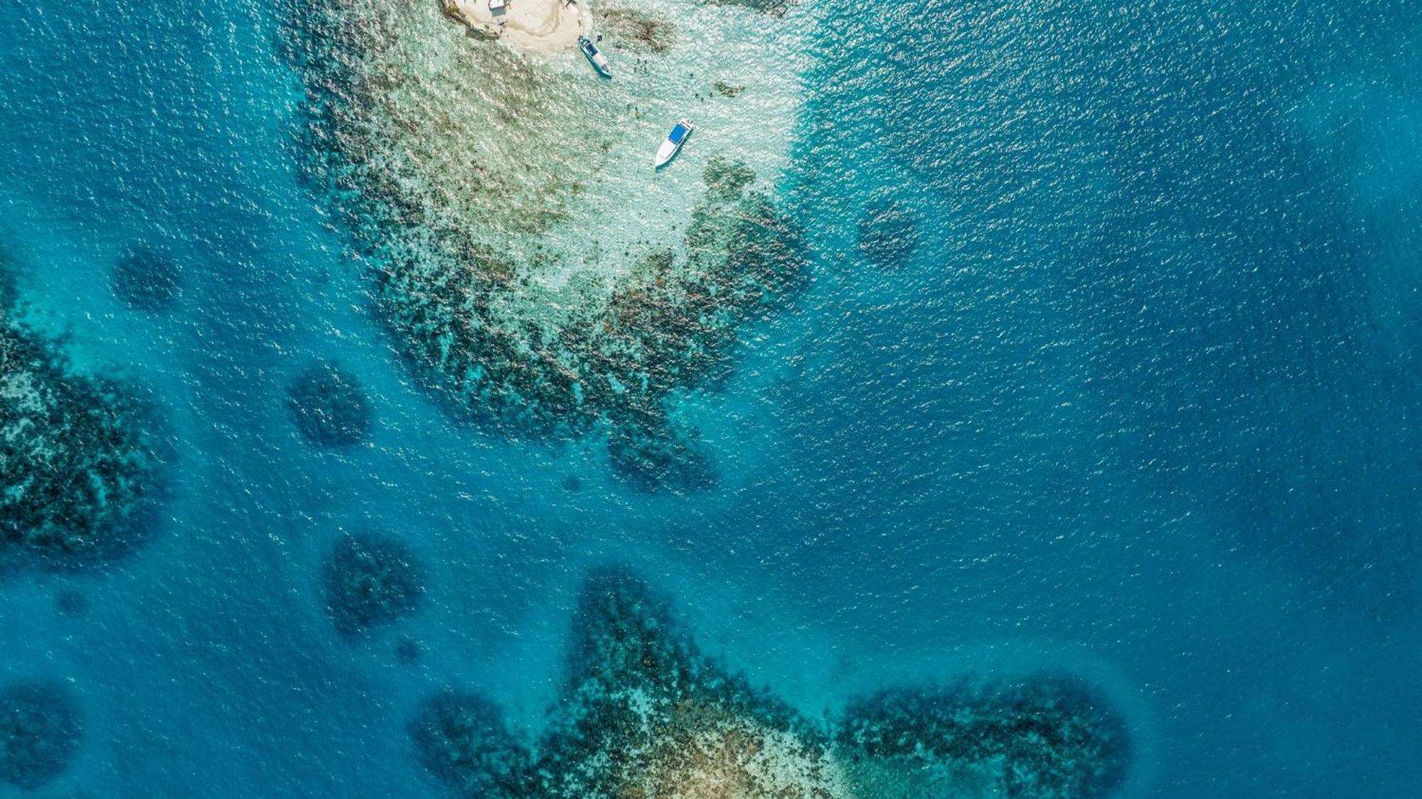 Turtle Inn By Francis Ford Coppola Placencia Εξωτερικό φωτογραφία